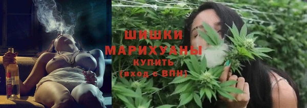 ПСИЛОЦИБИНОВЫЕ ГРИБЫ Алексеевка