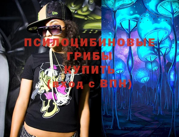 ПСИЛОЦИБИНОВЫЕ ГРИБЫ Алексеевка