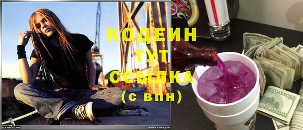 гашик Алзамай