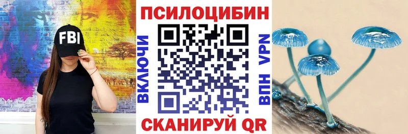 кракен ССЫЛКА  закладки  Карабулак  Псилоцибиновые грибы мицелий 